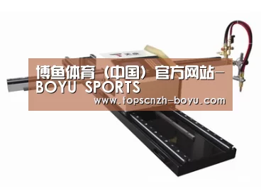 案例展示一