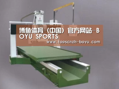 产品名称十