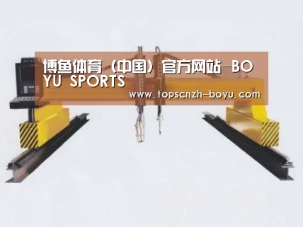 产品名称十七