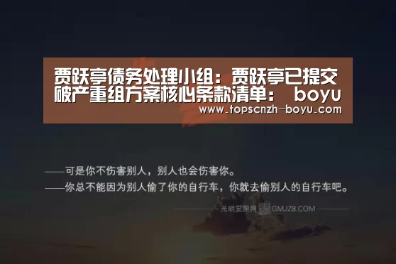贾跃亭债务处理小组:贾跃亭已提交破产重组方案核心条款清单: boyu tiyu(图2) boyu tiyu